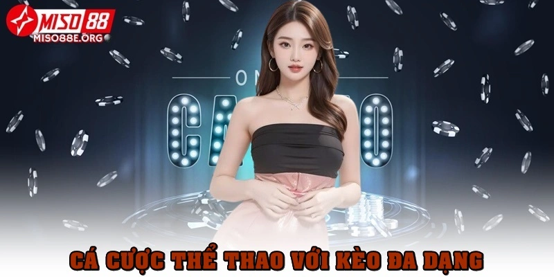 Cá cược thể thao với giải đấu và kèo cược đa dạng