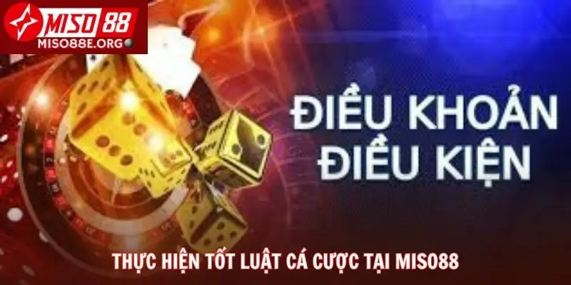 Thực hiện tốt luật cá cược tại Miso88